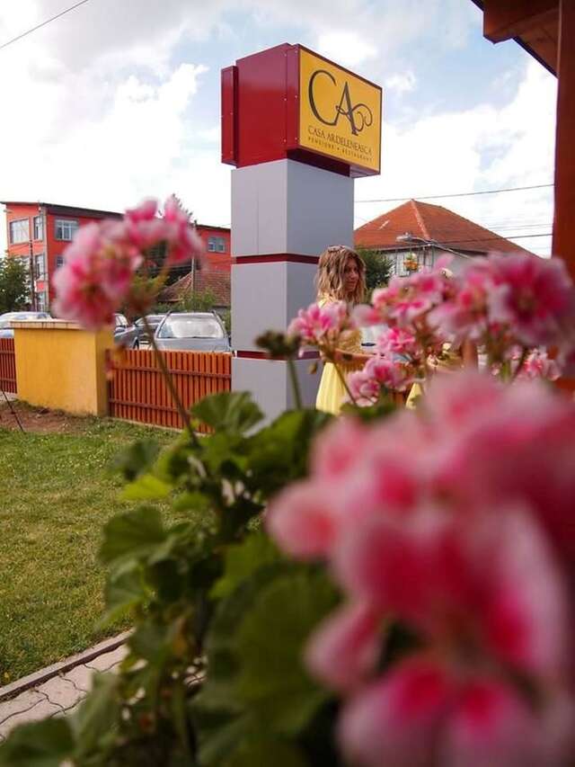 Гостевой дом Casa Ardeleneasca Тимишоара-23